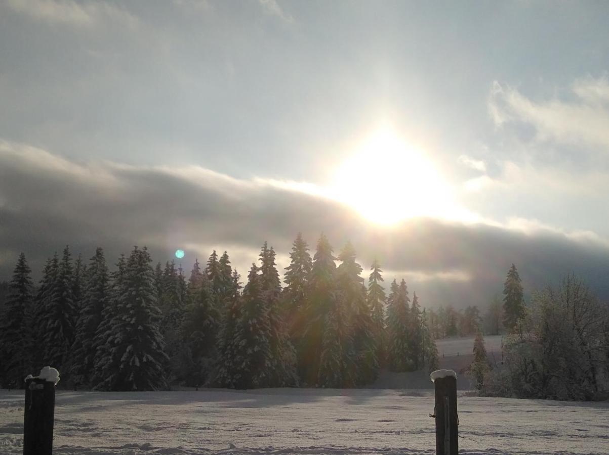 Ferienwohnungen Recherhof Hochfilzen Εξωτερικό φωτογραφία