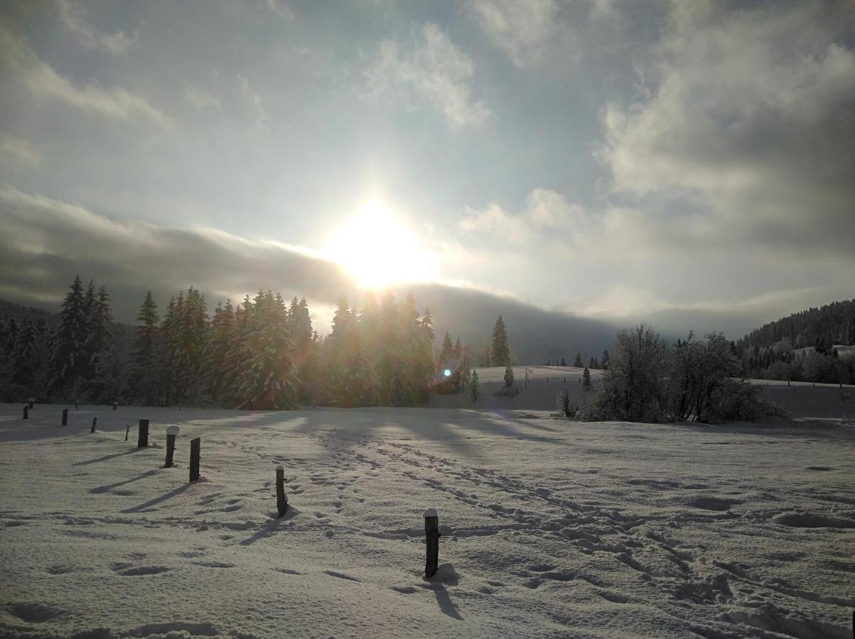 Ferienwohnungen Recherhof Hochfilzen Εξωτερικό φωτογραφία